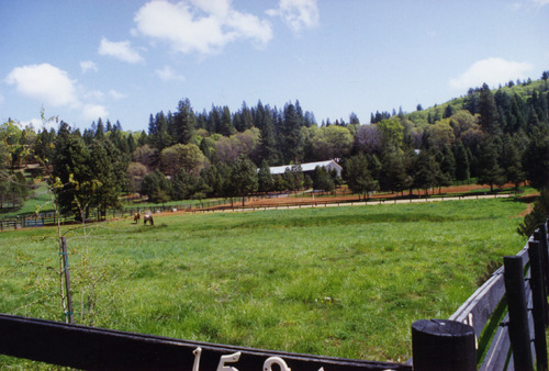 Click to see PIC 6-ADS 359A of Union Real Estate Ad Photos (PIC 6-ADS)