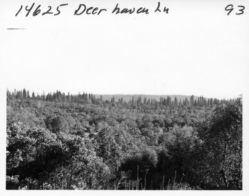 Click to see PIC 6-ADS 418 of Union Real Estate Ad Photos (PIC 6-ADS)