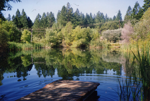 Click to see PIC 6-ADS 442 of Union Real Estate Ad Photos (PIC 6-ADS)