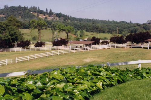 Click to see PIC 6-ADS 579E of Union Real Estate Ad Photos (PIC 6-ADS)