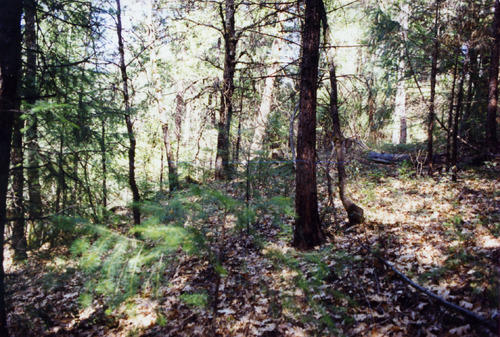 Click to see PIC 6-ADS 747 of Union Real Estate Ad Photos (PIC 6-ADS)