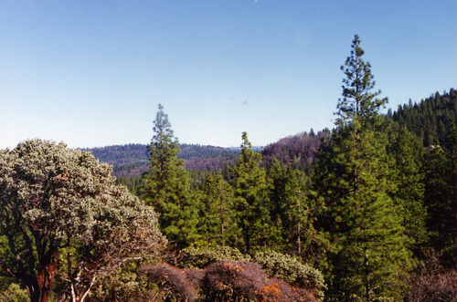 Click to see PIC 6-ADS 805 of Union Real Estate Ad Photos (PIC 6-ADS)