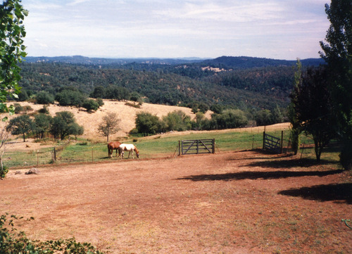 Click to see PIC 6-ADS 1134 of Union Real Estate Ad Photos (PIC 6-ADS)