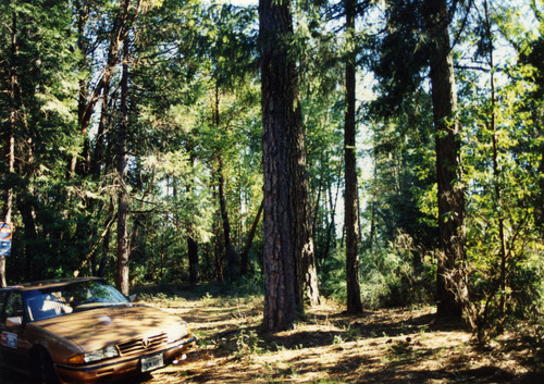 Click to see PIC 6-ADS 1180B of Union Real Estate Ad Photos (PIC 6-ADS)