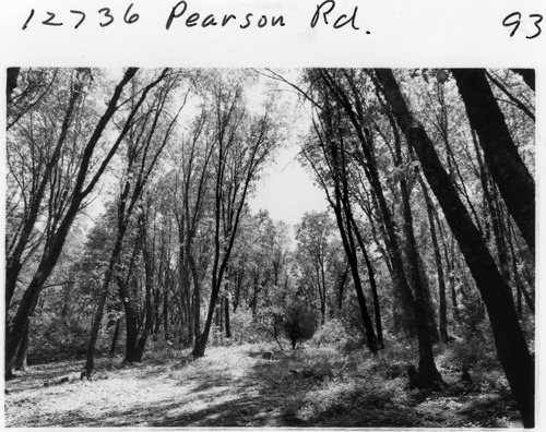 Click to see PIC 6-ADS 1277 of Union Real Estate Ad Photos (PIC 6-ADS)