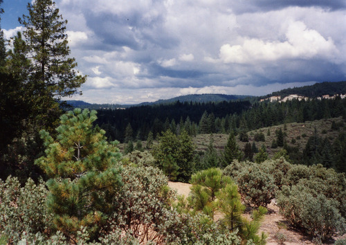 Click to see PIC 6-ADS 1439 of Union Real Estate Ad Photos (PIC 6-ADS)