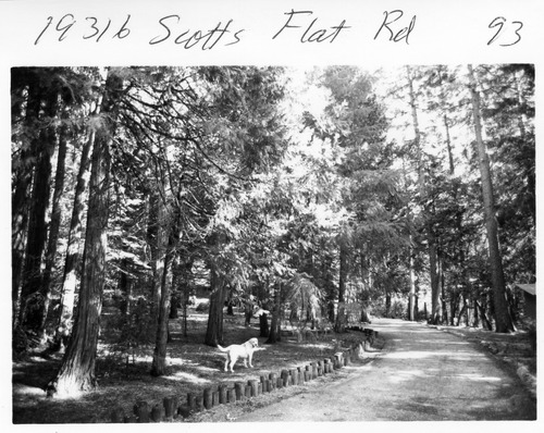 Click to see PIC 6-ADS 1527 of Union Real Estate Ad Photos (PIC 6-ADS)