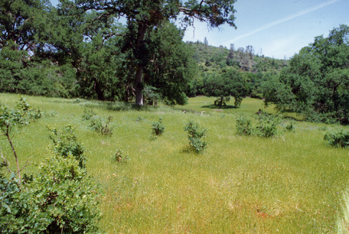 Click to see PIC 6-ADS 1731 of Union Real Estate Ad Photos (PIC 6-ADS)