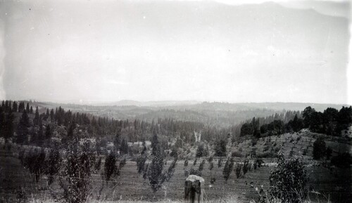 Click to see PIC 6-BARTKE A20 of Bartke Family Album (PIC 6-BARTKE)