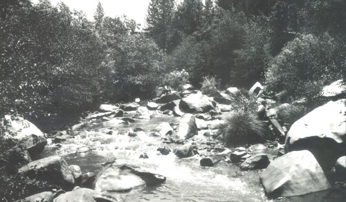 Click to see PIC 6-BARTKE B21 of Bartke Family Album (PIC 6-BARTKE)
