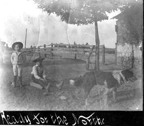 Click to see PIC 6-BER 10 of Bergman Family Album (PIC 6-BER)