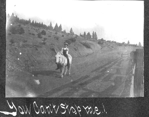 Click to see PIC 6-BER 11 of Bergman Family Album (PIC 6-BER)