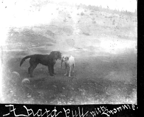 Click to see PIC 6-BER 12 of Bergman Family Album (PIC 6-BER)