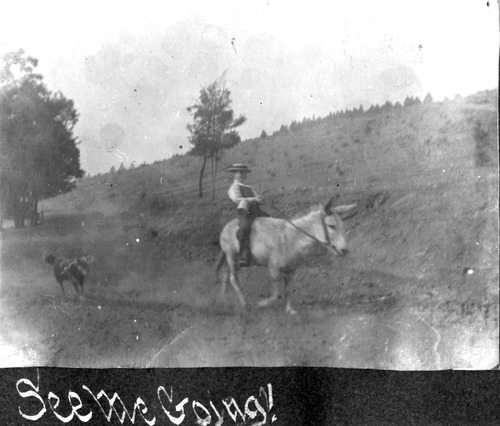 Click to see PIC 6-BER 13 of Bergman Family Album (PIC 6-BER)
