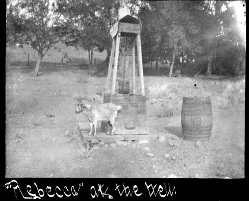 Click to see PIC 6-BER 15 of Bergman Family Album (PIC 6-BER)