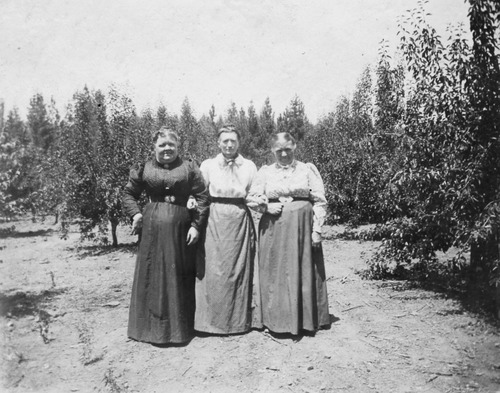 Click to see PIC 6-BRA 4 of Fred Brandt photo album (PIC 6-BRA)