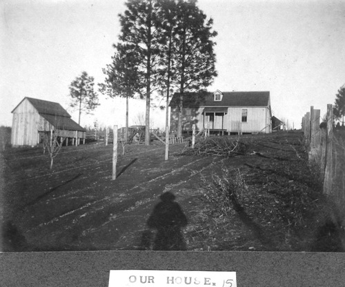 Click to see PIC 6-BRA 15 of Fred Brandt photo album (PIC 6-BRA)