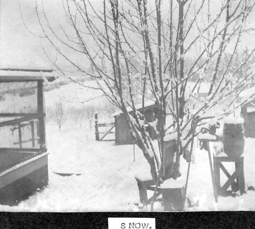 Click to see PIC 6-BRA 30 of Fred Brandt photo album (PIC 6-BRA)