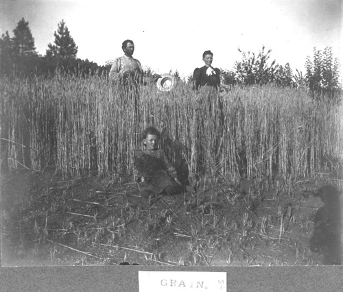Click to see PIC 6-BRA 34 of Fred Brandt photo album (PIC 6-BRA)