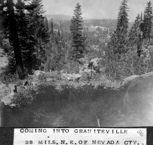 Click to see PIC 6-BRA 36 of Fred Brandt photo album (PIC 6-BRA)