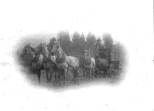 Click to see PIC 6-BRA 57 of Fred Brandt photo album (PIC 6-BRA)