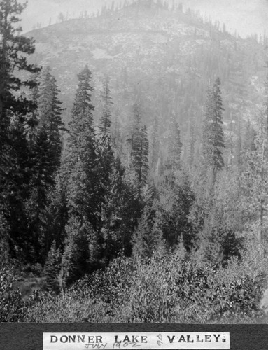 Click to see PIC 6-BRA 86 of Fred Brandt photo album (PIC 6-BRA)