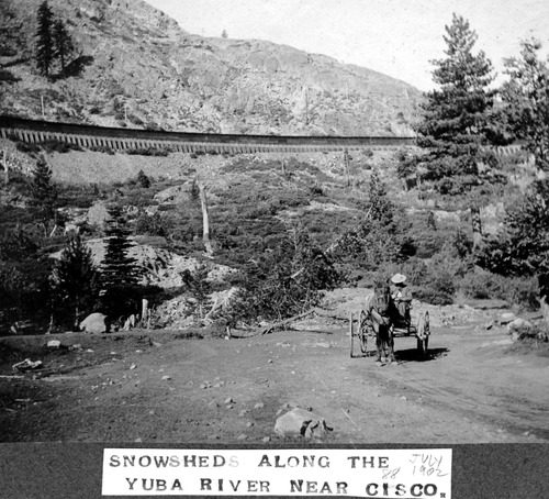 Click to see PIC 6-BRA 88 of Fred Brandt photo album (PIC 6-BRA)
