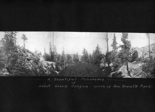 Click to see PIC 6-BRA 117 of Fred Brandt photo album (PIC 6-BRA)