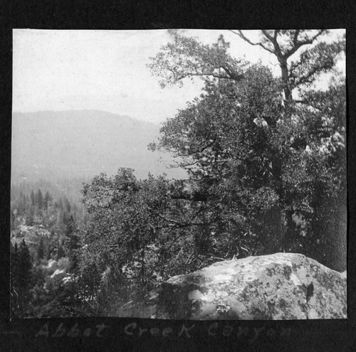 Click to see PIC 6-BRA 119 of Fred Brandt photo album (PIC 6-BRA)