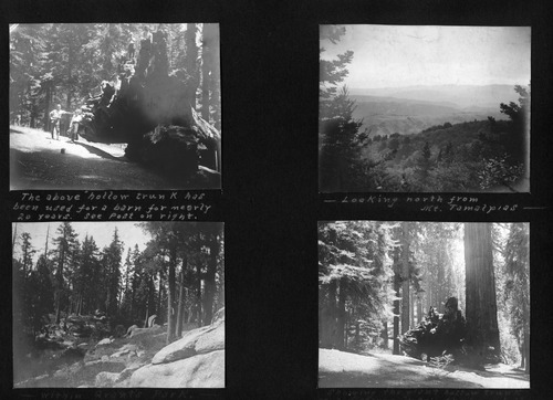 Click to see PIC 6-BRA 122 of Fred Brandt photo album (PIC 6-BRA)
