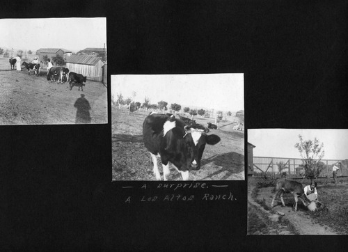 Click to see PIC 6-BRA 124 of Fred Brandt photo album (PIC 6-BRA)