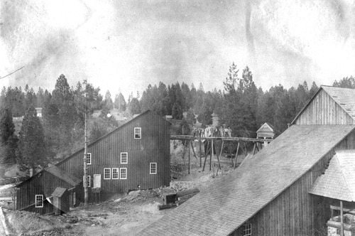Click to see PIC 6-CAI 44 of Cairns family album (PIC 6-CAI)