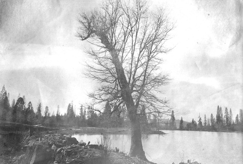 Click to see PIC 6-CAI 46 of Cairns family album (PIC 6-CAI)