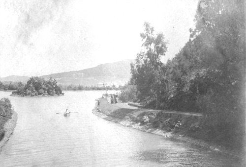 Click to see PIC 6-CAI 55 of Cairns family album (PIC 6-CAI)