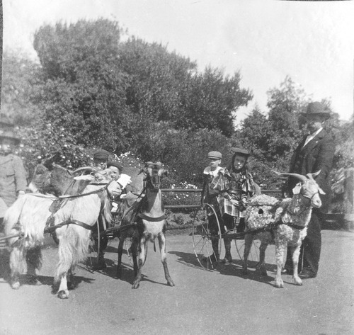 Click to see PIC 6-CAI 57 of Cairns family album (PIC 6-CAI)