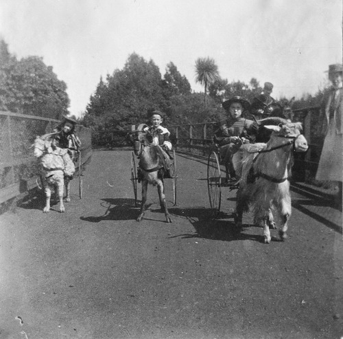 Click to see PIC 6-CAI 62 of Cairns family album (PIC 6-CAI)