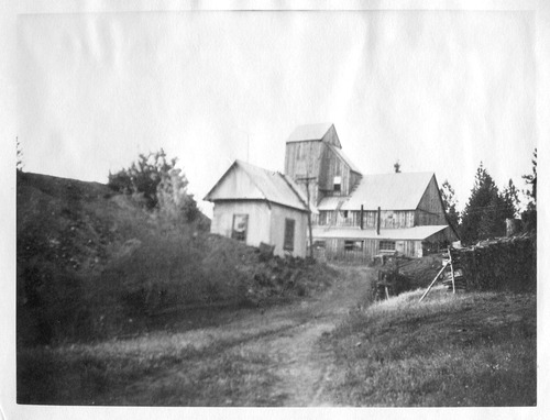 Click to see PIC 6-CAI 181 of Cairns family album (PIC 6-CAI)