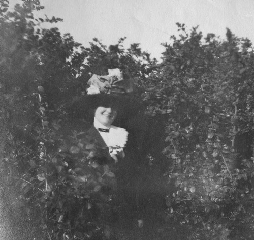 Click to see PIC 6-CAI 216 of Cairns family album (PIC 6-CAI)