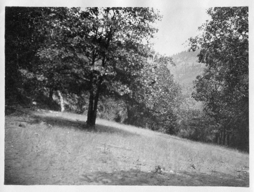 Click to see PIC 6-CAI 240 of Cairns family album (PIC 6-CAI)