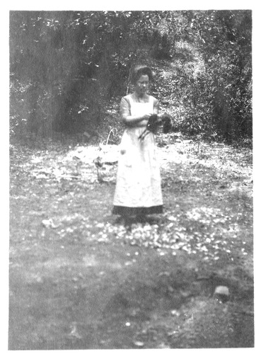 Click to see PIC 6-CAI 241 of Cairns family album (PIC 6-CAI)