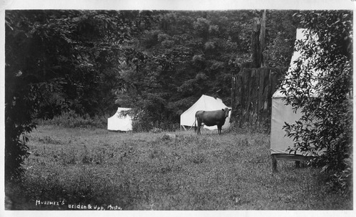 Click to see PIC 6-CAI 244 of Cairns family album (PIC 6-CAI)
