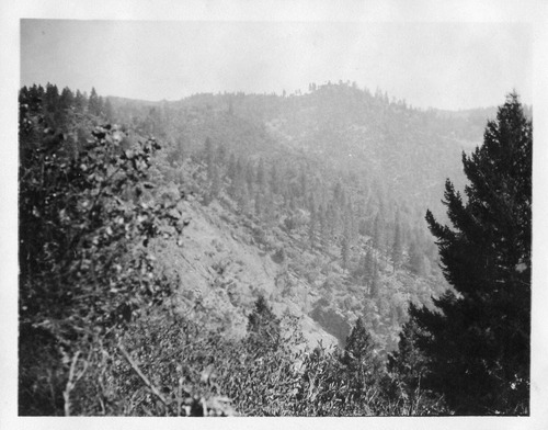 Click to see PIC 6-CAI 312 of Cairns family album (PIC 6-CAI)