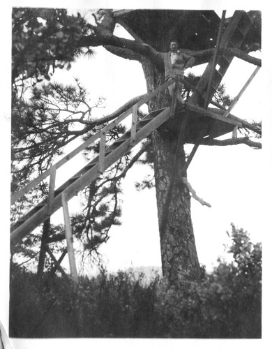 Click to see PIC 6-CAI 320 of Cairns family album (PIC 6-CAI)