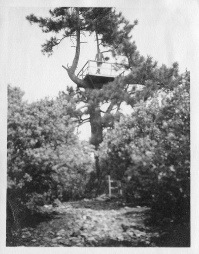Click to see PIC 6-CAI 323 of Cairns family album (PIC 6-CAI)
