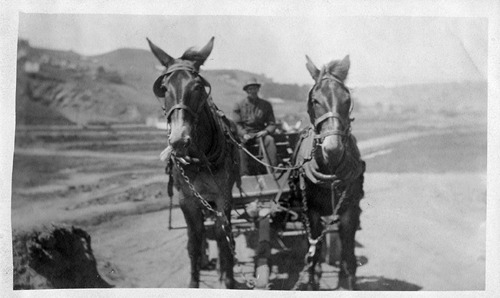 Click to see PIC 6-CAI 326 of Cairns family album (PIC 6-CAI)