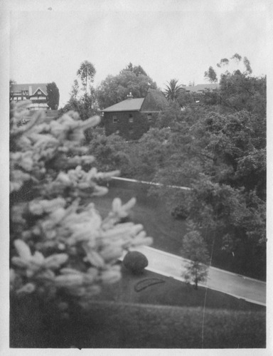 Click to see PIC 6-CAI 328 of Cairns family album (PIC 6-CAI)