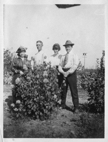 Click to see PIC 6-CAI 336 of Cairns family album (PIC 6-CAI)
