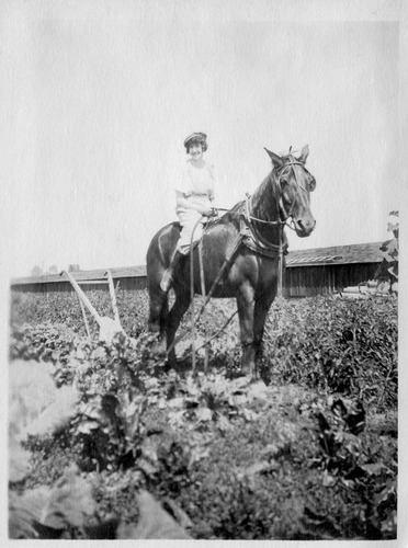 Click to see PIC 6-CAI 341 of Cairns family album (PIC 6-CAI)