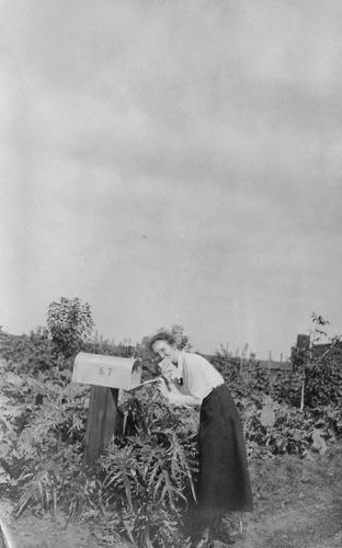 Click to see PIC 6-CAI 342 of Cairns family album (PIC 6-CAI)
