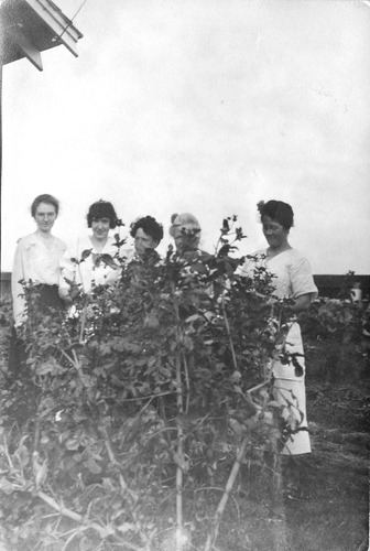 Click to see PIC 6-CAI 343 of Cairns family album (PIC 6-CAI)